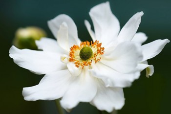 怎么查詢信用卡有沒有逾期