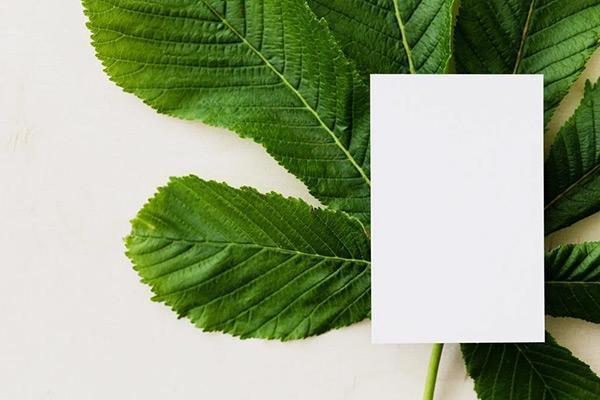 信用卡分期實(shí)際利率計(jì)算器工具怎么算？利率多少合適？