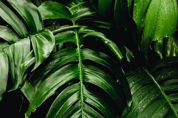 興業(yè)消費金融還款方式？分期還款利息多少？