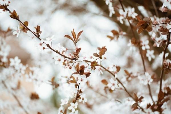 支付寶花唄逾期多久會(huì)被起訴？金額達(dá)到多少會(huì)被起訴？