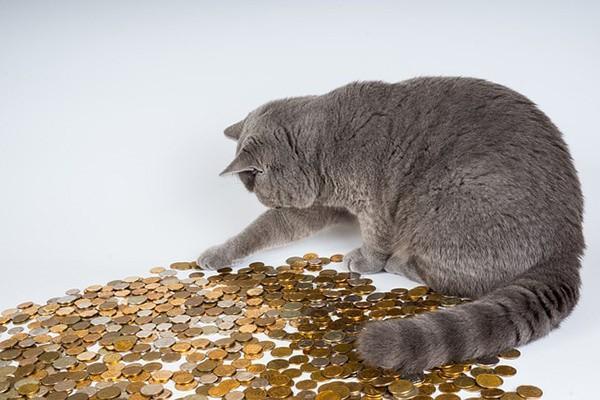 度小滿金融可以協(xié)商還款嗎？協(xié)商還款流程是什么？