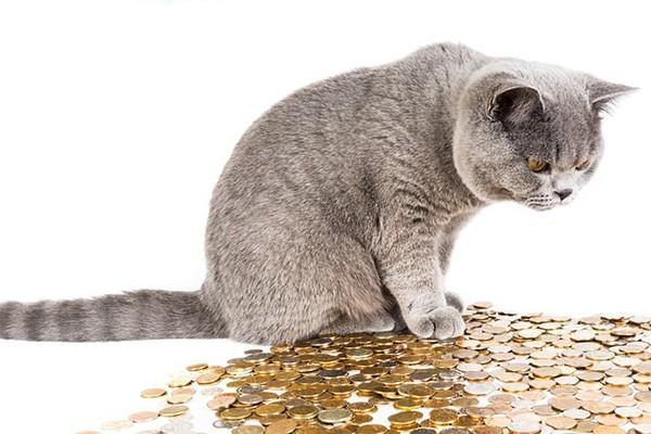 招聯(lián)金融逾期兩個月怎么樣？后果有這些