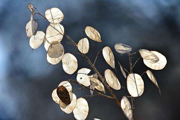 安逸花逾期利息太高該如何？起訴費(fèi)用需要自己承擔(dān)嗎？