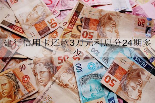建行信用卡還款3萬元利息分24期多少？詳細利息分析