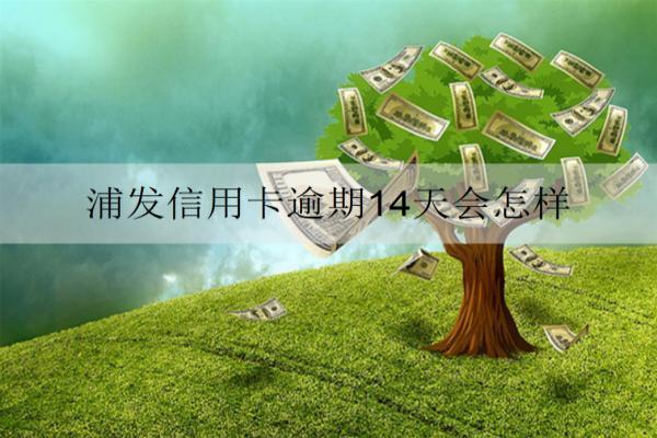 浦發(fā)信用卡逾期14天會(huì)怎樣？如何挽救？