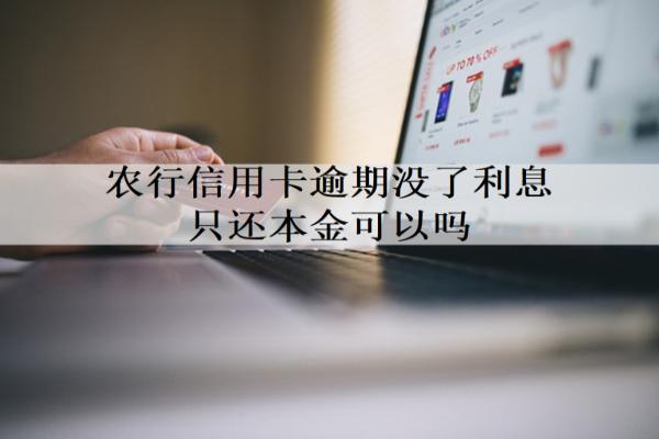 農(nóng)行信用卡逾期沒(méi)了利息只還本金可以嗎？農(nóng)行信用卡減免政策解析