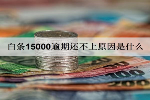 白條15000逾期還不上原因是什么？還不上如何解決？