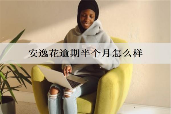安逸花逾期半個(gè)月怎么樣？能協(xié)商還款嗎？