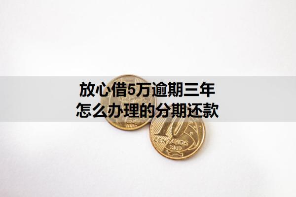 放心借5萬逾期三年怎么辦理的分期還款？詳細分期步驟分析