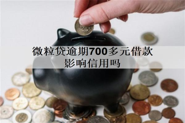 微粒貸逾期700多元借款影響信用嗎？如何避免出現(xiàn)逾期的情況？