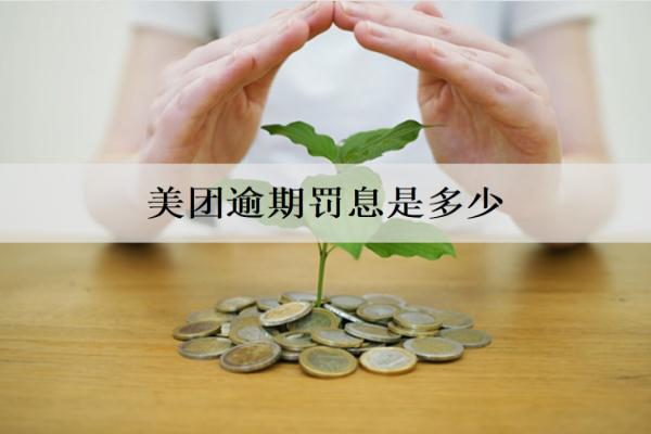 美團(tuán)逾期罰息是多少？具體罰息收取情況分析