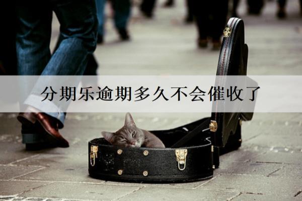 分期樂逾期多久不會催收了？怎么解決最好？