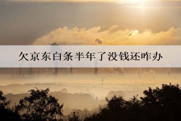 欠京東白條半年了沒錢還咋辦？會坐牢嗎？