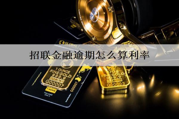 招聯(lián)金融逾期怎么算利率？逾期如何協(xié)商償還？