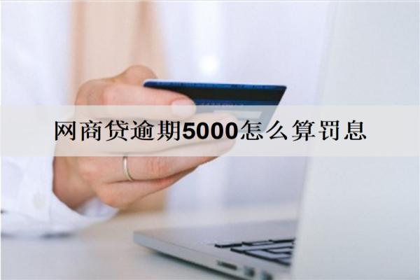 網(wǎng)商貸逾期5000怎么算罰息？會(huì)面臨什么后果？