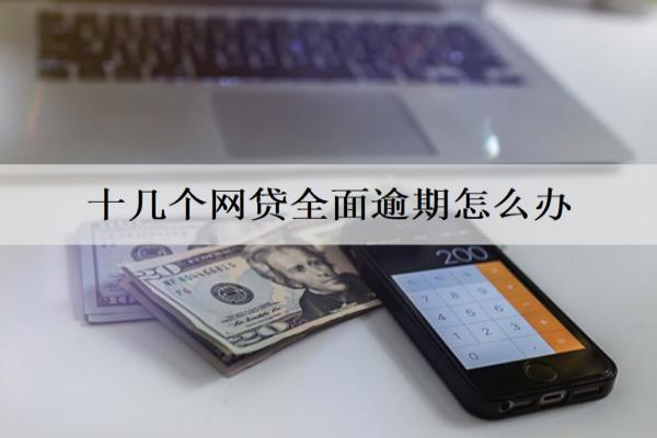 十幾個網(wǎng)貸全面逾期怎么辦？網(wǎng)貸全面逾期解決辦法及后果分析