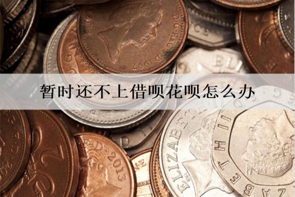 暫時(shí)還不上借唄花唄怎么辦？會(huì)怎么樣？
