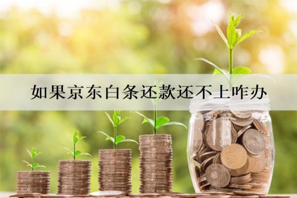 如果京東白條還款還不上怎么辦？