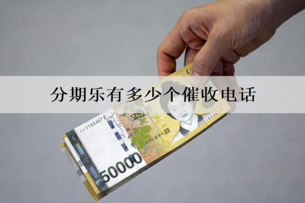 分期樂有多少個催收電話？