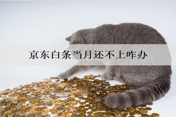 京東白條當(dāng)月還不上咋辦？三個(gè)解決辦法