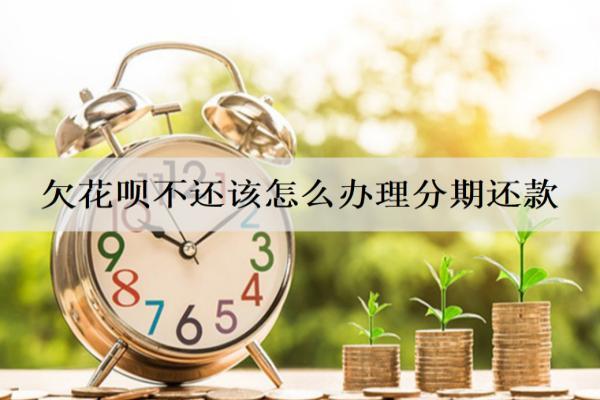 欠花唄不還該怎么辦理分期還款？辦理步驟介紹