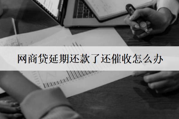 網(wǎng)商貸延期還款了還催收怎么辦？按這個辦法應對