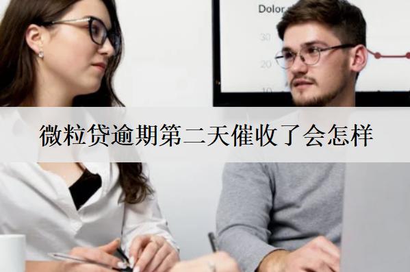 微粒貸逾期第二天催收了會(huì)怎么樣？怎么辦？