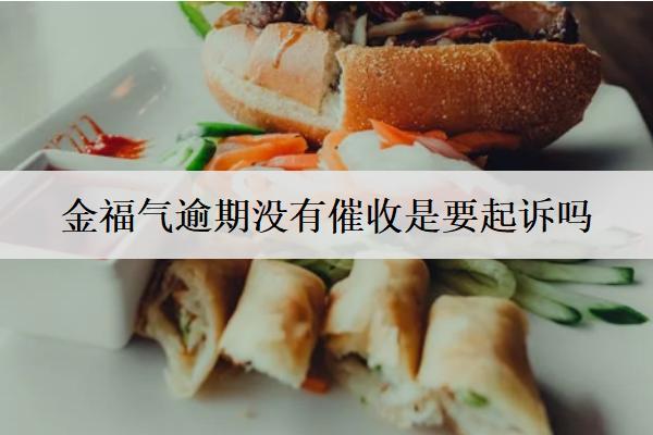 金福氣逾期沒有催收是要起訴嗎？起訴會怎樣？