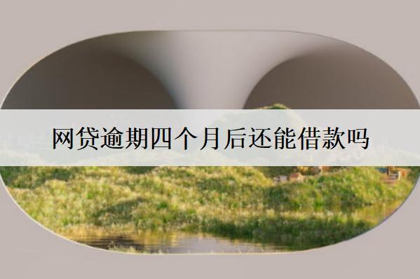 網(wǎng)貸逾期四個(gè)月后還能借款嗎？
