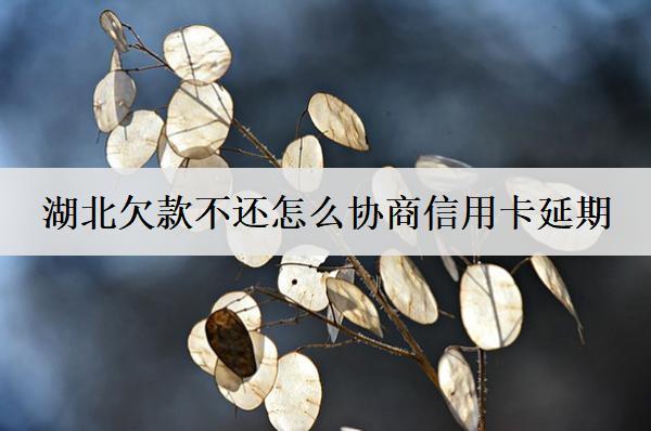 湖北欠款不還怎么協(xié)商？詳細協(xié)商流程分享