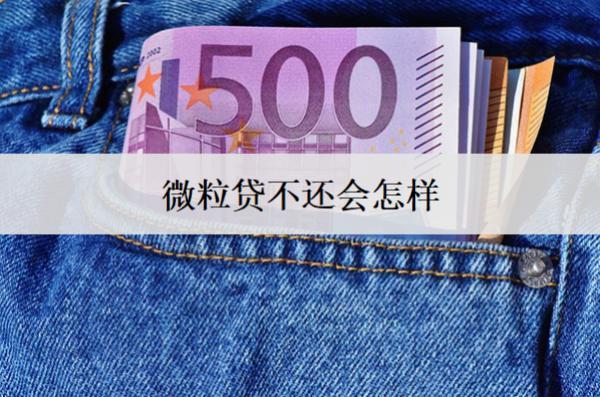 微粒貸不還會(huì)怎樣？會(huì)面臨這些后果