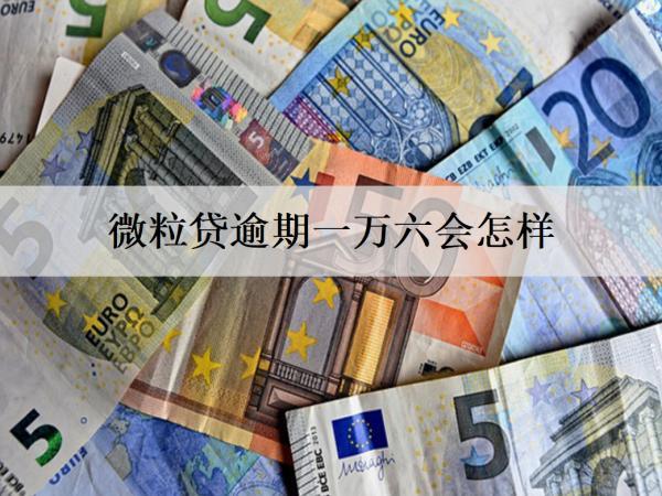 微粒貸逾期一萬六會怎樣？會上門催收嗎？