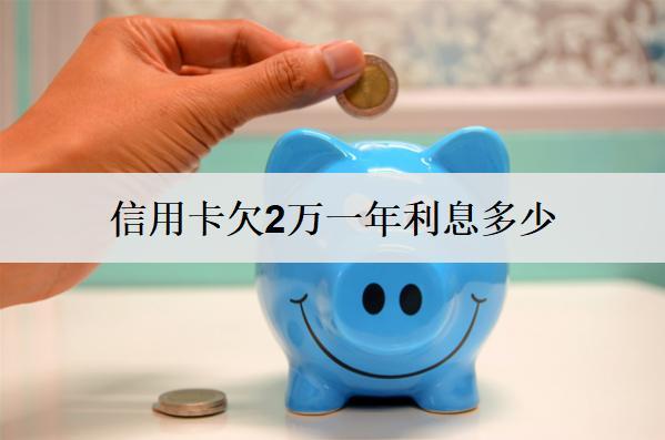 信用卡欠2萬一年利息多少？能協(xié)商只還本金嗎？