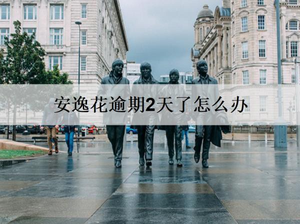 安逸花逾期2天了怎么辦？安逸花逾期應對策略