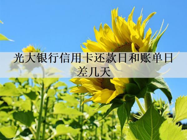 光大銀行信用卡還款日和賬單日差幾天？信用卡還款方式匯總