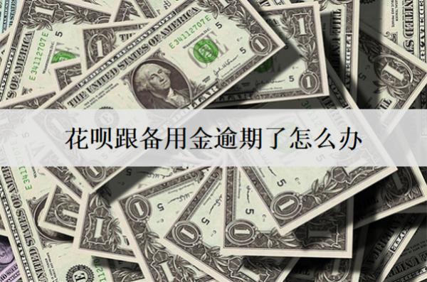 花唄跟備用金逾期了怎么辦？花唄跟備用金逾期解決辦法及后果
