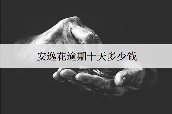 安逸花逾期十天多少錢？逾期處理辦法分享