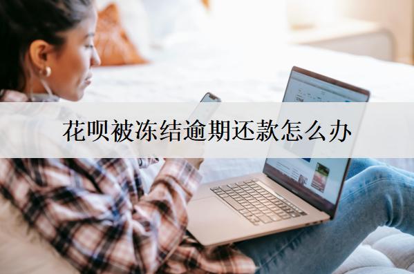 花唄被凍結(jié)逾期還款怎么辦？原因是什么？