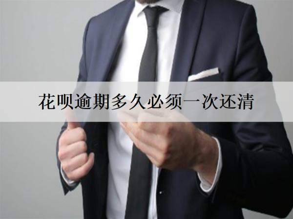 花唄逾期多久必須一次還清？詳細(xì)花唄逾期后果盤點(diǎn)