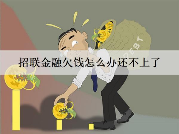 招聯(lián)金融欠錢怎么辦還不上了？逾期會怎樣嗎？