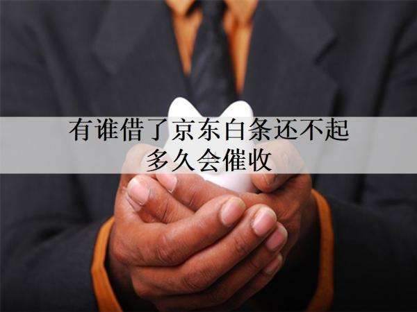 有誰借了京東白條還不起多久會催收？逾期會馬上被催收