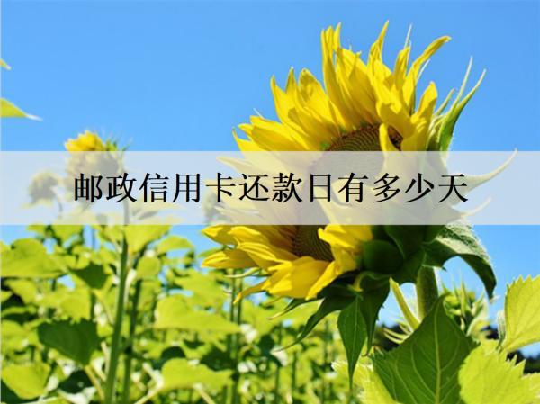 郵政信用卡還款日有多少天？20天，且還有4天容時(shí)服務(wù)