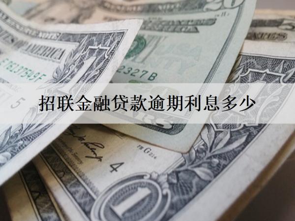 招聯(lián)金融貸款逾期利息多少？暫時無力償還怎么解決？