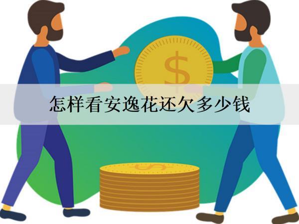 怎樣看安逸花還欠多少錢？欠錢逾期會怎樣？