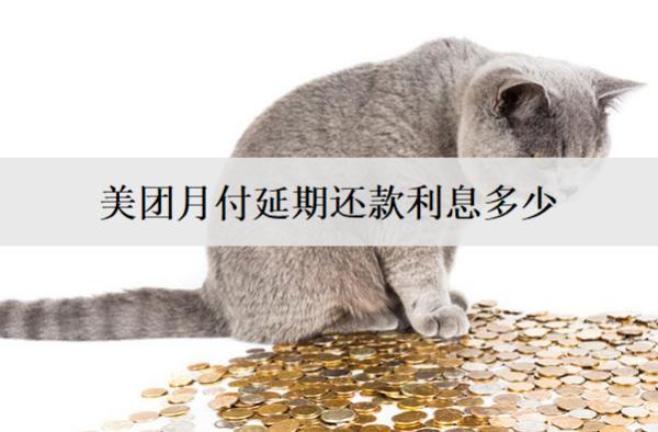 美團月付延期還款利息多少？延期還款受什么因素影響？