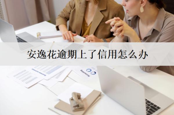 安逸花逾期上了信用怎么辦？安逸花逾期上信用解決辦法及影響
