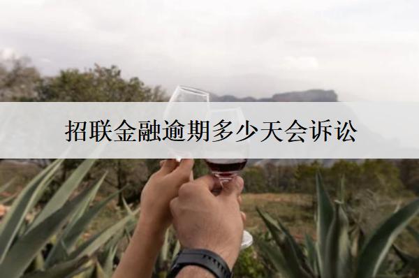 招聯(lián)金融逾期多少天會(huì)訴訟？起訴我了該怎么解決？