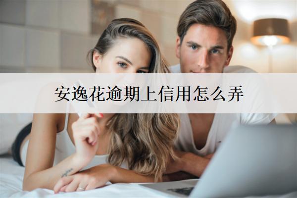 安逸花逾期上信用怎么弄