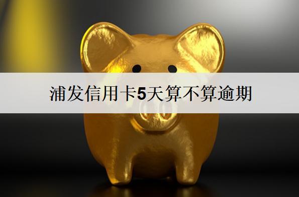 浦發(fā)信用卡5天算不算逾期？浦發(fā)信用卡逾期處理措施