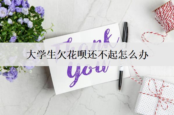 大學(xué)生欠花唄還不起怎么辦？花唄還不起解決辦法
